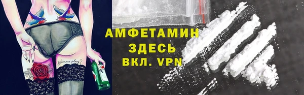 гидра Горняк