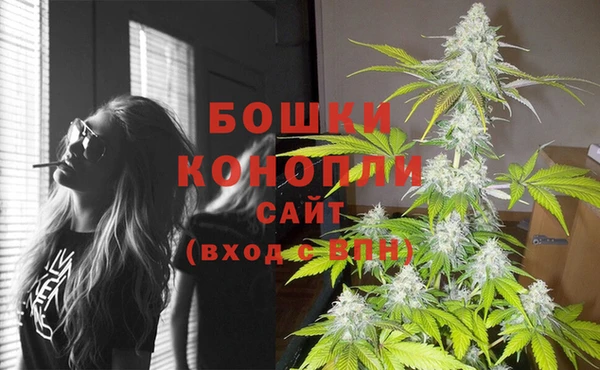 прущие грибы Горнозаводск