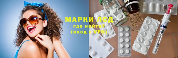 прущие грибы Горнозаводск
