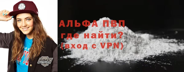 гидра Горняк