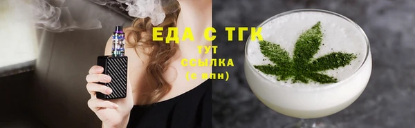 гидра Горняк