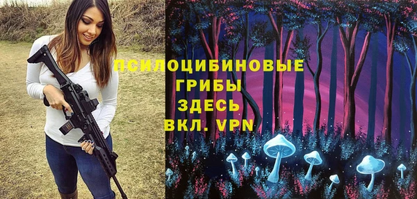 гидра Горняк