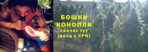 прущие грибы Горнозаводск