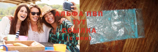 гидра Горняк