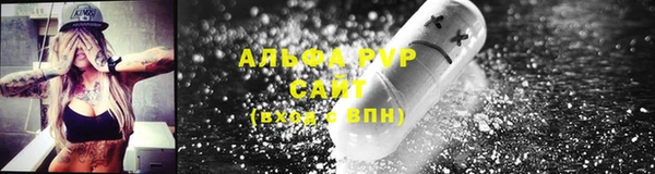 прущие грибы Горнозаводск