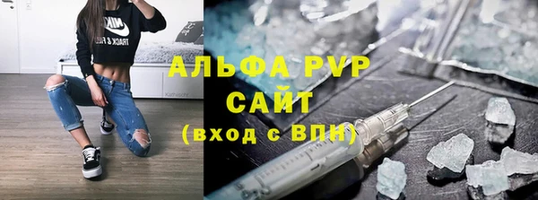 прущие грибы Горнозаводск