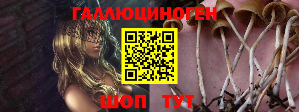 Минеральные Воды  Галлюциногенные грибы ЛСД  Вход с VPN 